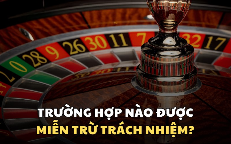 Miễn Trừ Trách Nhiệm EE88: Quy Định Quan Trọng Người Chơi